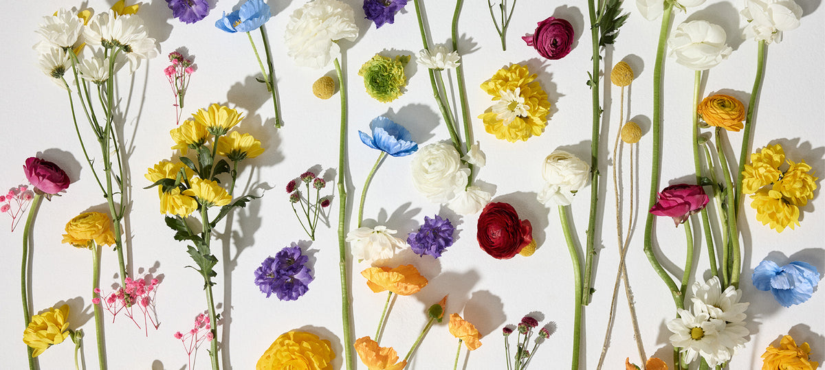 Colorful flowers arranged in a pattern on a white background