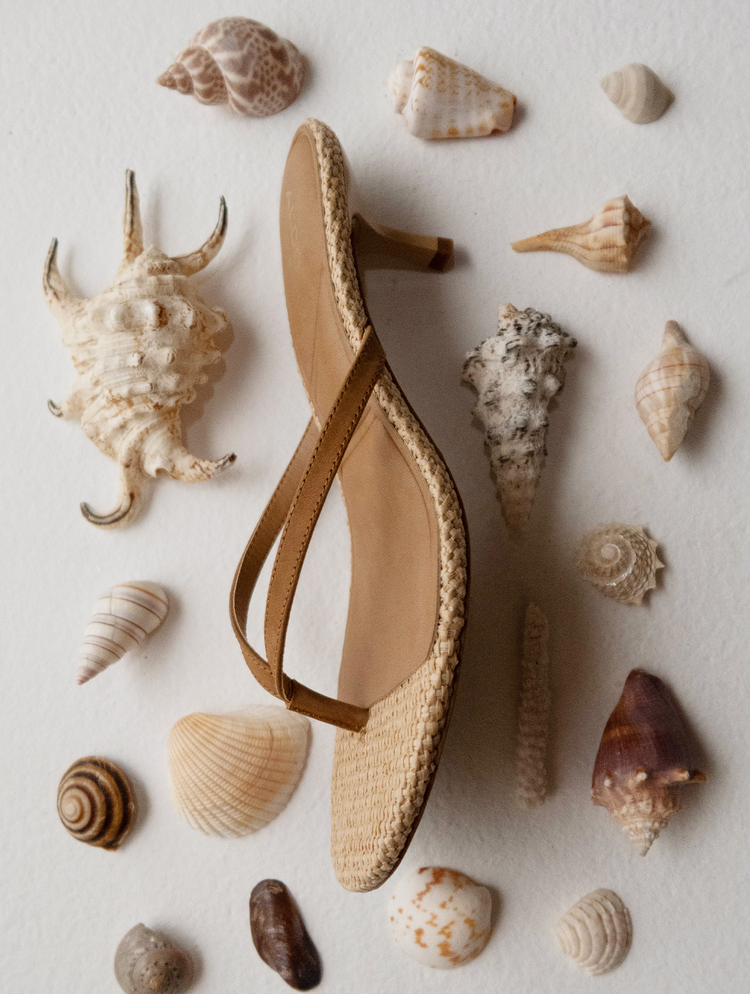 Beige thong sandal kitten heel surrounded by seashells on a light background