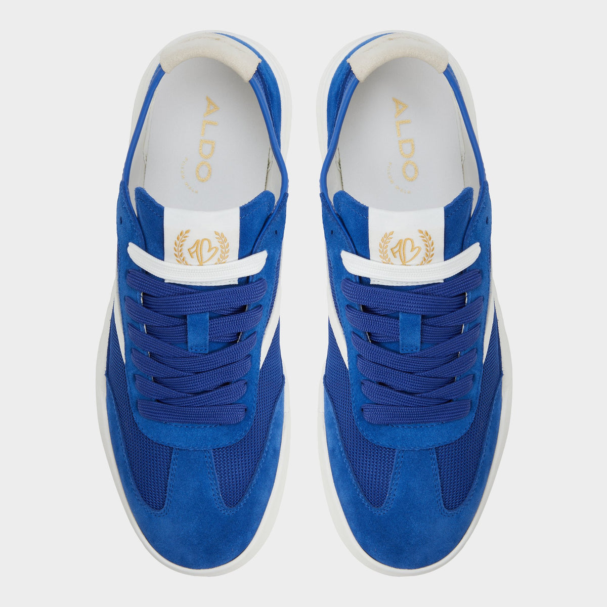 Top-down view of the Bright blue Clubmtl Low top sneaker