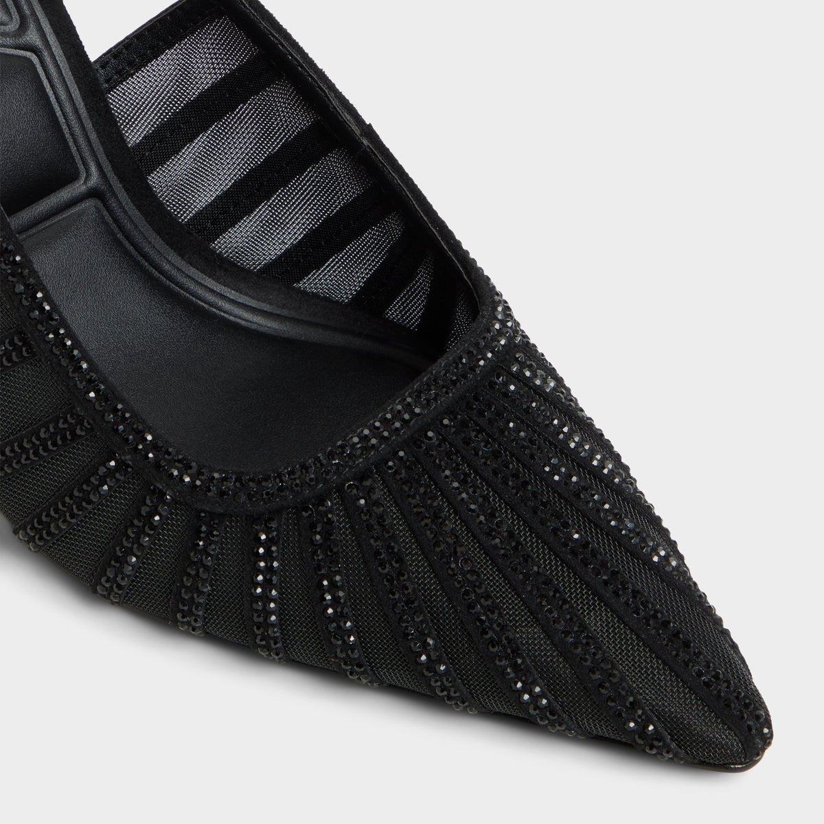 Close-up of the Black Eluse