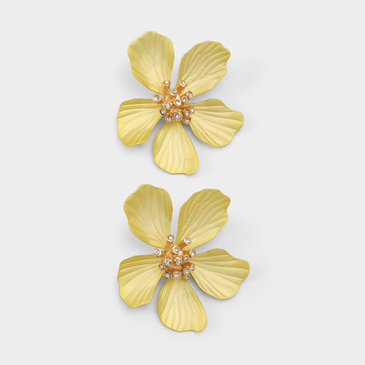 Product media for Cammelia