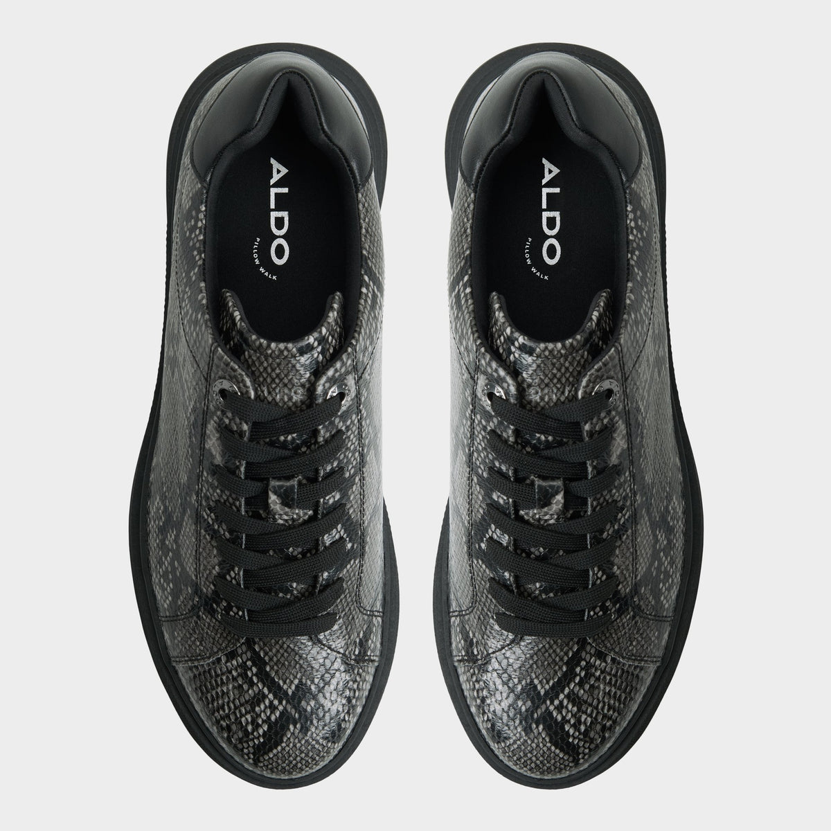 Top-down view of the Black combo Magnus Low top sneaker