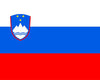 flag of Slovenia